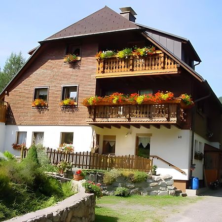 Haus Maria Apartamento Todtnau Exterior foto
