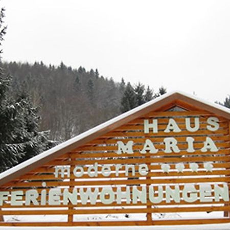 Haus Maria Apartamento Todtnau Exterior foto