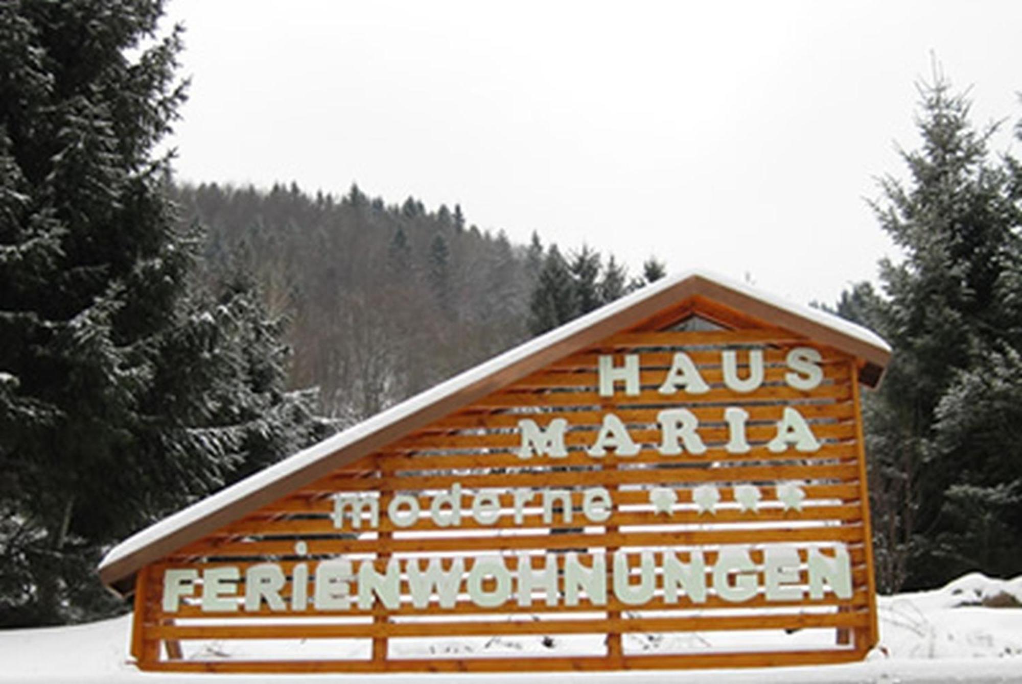 Haus Maria Apartamento Todtnau Exterior foto